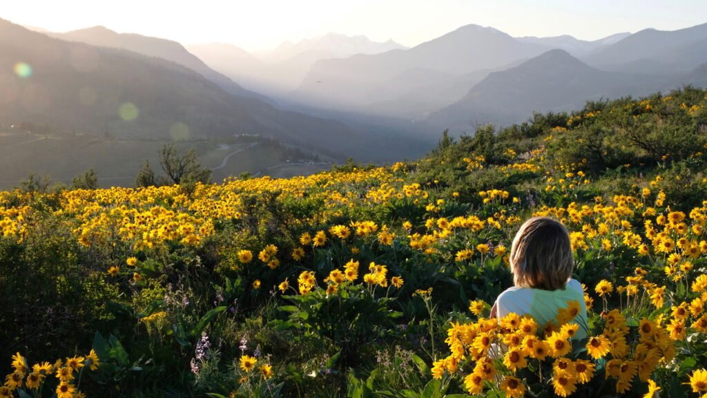 Aprenda cultivar a planta medicinal capaz de aliviar dores musculares
