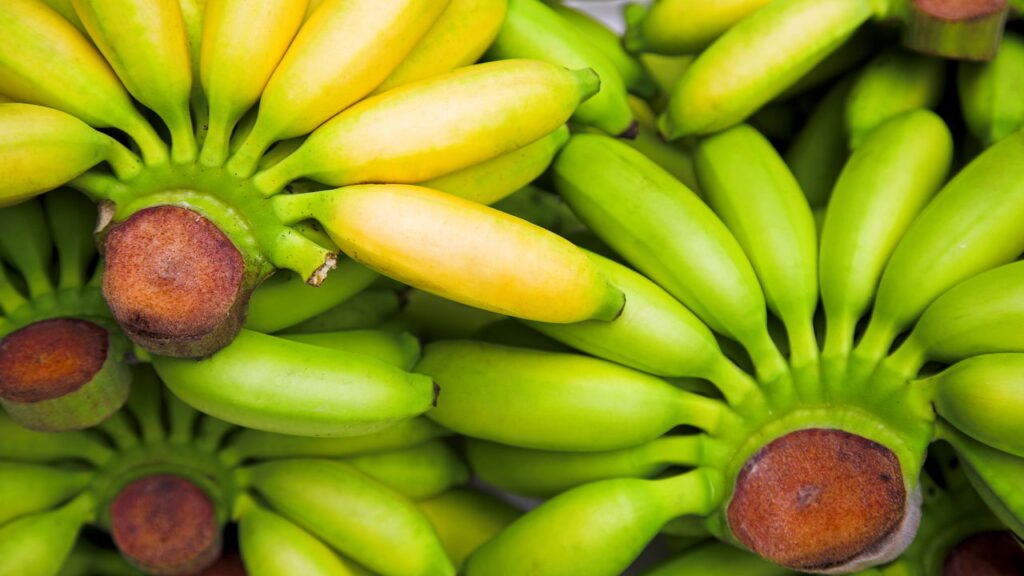 A fruta barata que ajuda a controlar a pressão arterial
