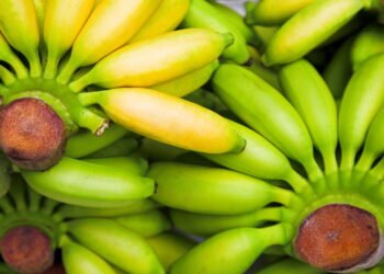 A fruta barata que ajuda a controlar a pressão arterial