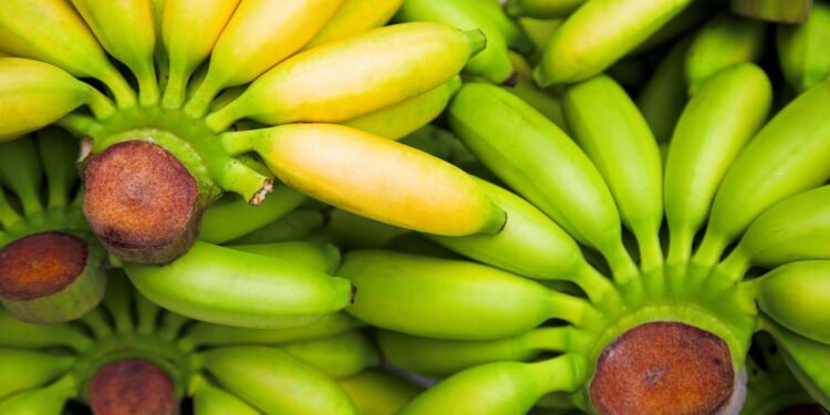 A fruta barata que ajuda a controlar a pressão arterial