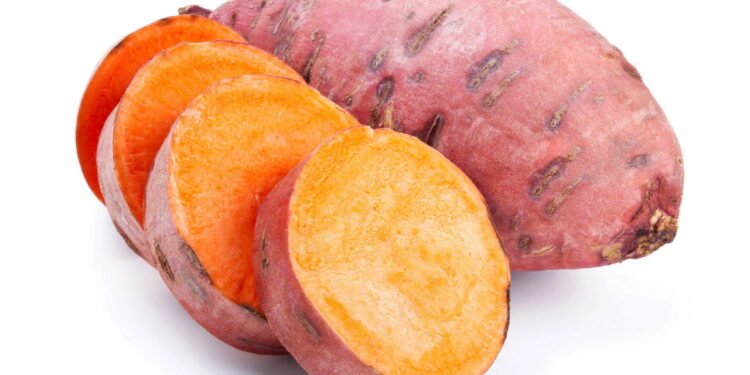 Aprenda fazer uma horta de batata-doce e colher em poucos meses