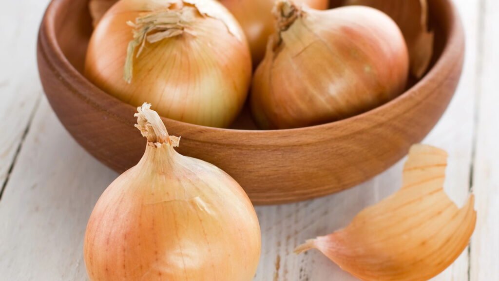 Como plantar cebola em casa usando garrafa pet