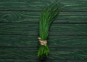 Como plantar cebolinha e colher direto da sua varanda