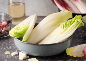Dicas simples para colher chicória crocante e nutritiva direto da sua horta