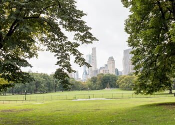 Conheça a cidade mais segura do Brasil em 2025