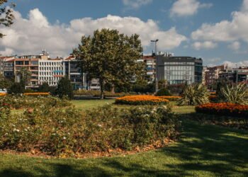 Veja quais cidades estão liderando no ranking de busca por imóveis