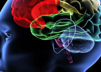 Essa simples pausa de 120 segundos pode mudar seu dia inteiro de forma inexplicável