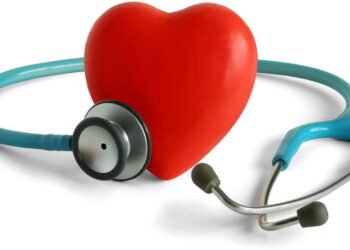 A oleaginosa que protege o coração e ajuda no foco mental