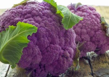 Dicas essenciais para cultivar couve-flor roxa em qualquer espaço