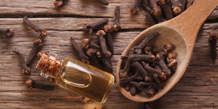 Aprenda o jeito certo de plantar cravo-da-índia e colha flores aromáticas