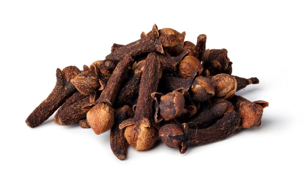 Aprenda o jeito certo de plantar cravo-da-índia e colha flores aromáticas