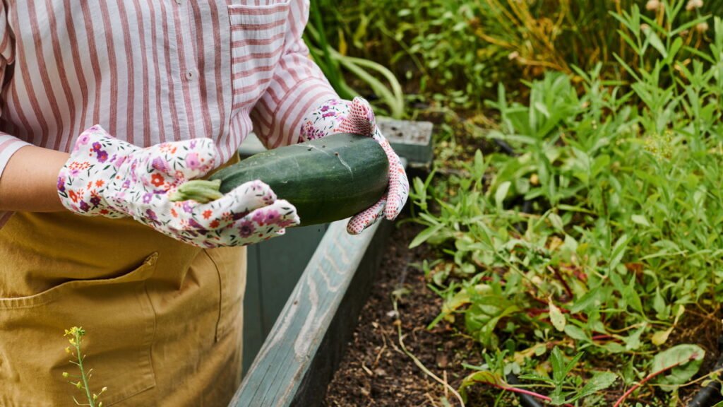 Guia Prático para Começar Sua Horta em Casa