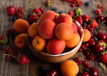 Guia completo para cultivar damasco no jardim de casa