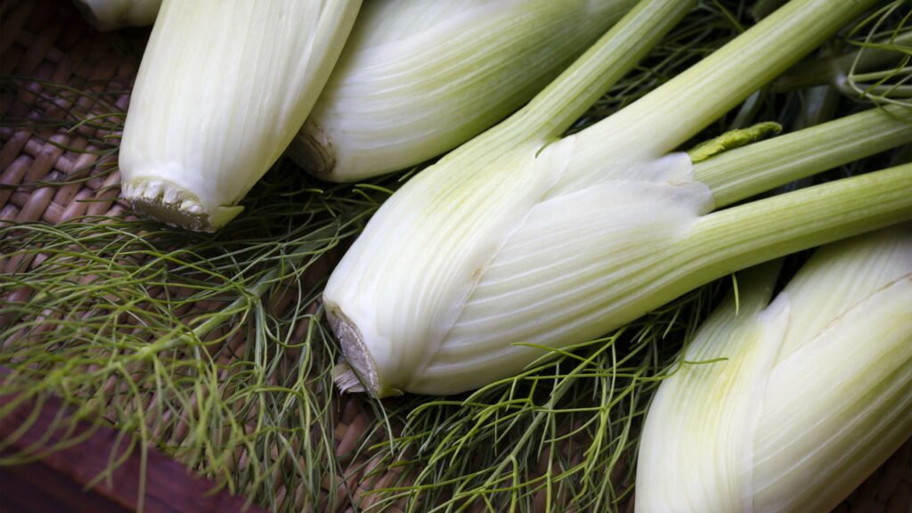 Como plantar erva-doce e preparar chá natural direto da horta