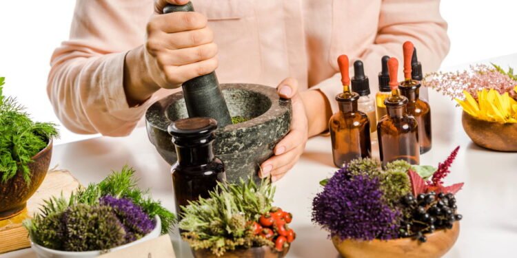 Aprenda a montar uma horta de ervas que auxiliam na perda de peso