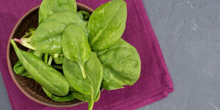 Espinafre - Créditos: depositphotos.com / alebloshka