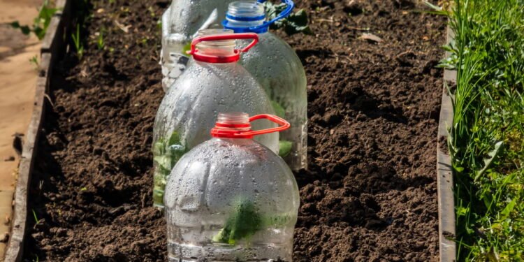 Estufa - Créditos: depositphotos.com / Kris.Rad