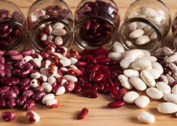 Como cultivar feijão em casa de forma fácil e rápida