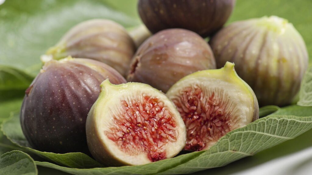 Como plantar figo em casa e ter frutos saborosos o ano todo