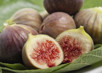 Como plantar figo em casa e ter frutos saborosos o ano todo