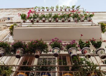 Flores perfeitas para deixar a entrada da sua casa mais bonita