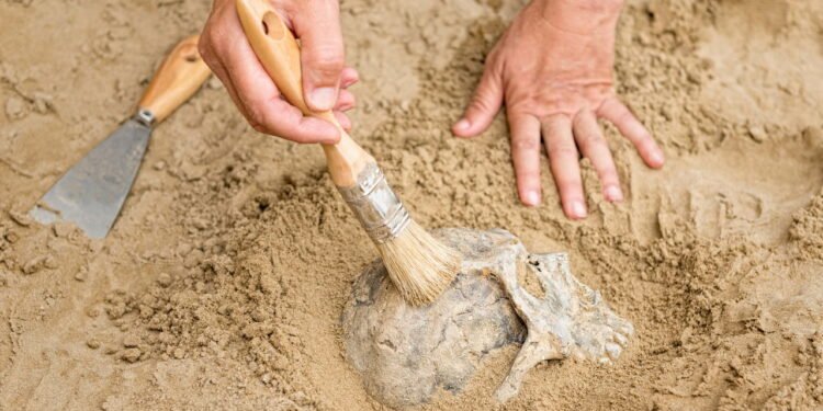 Segredos do Saara são revelados com seu passado fascinante