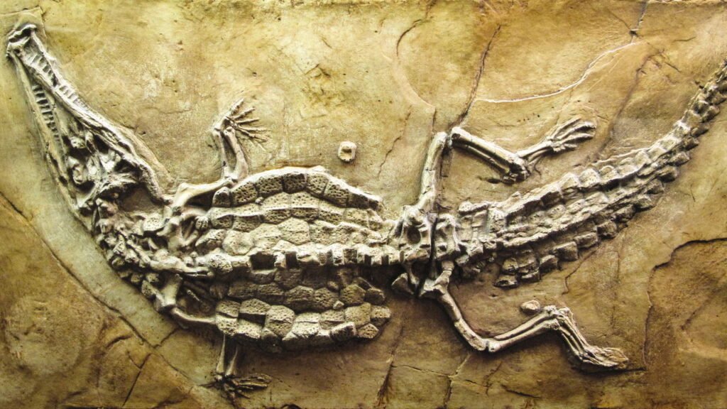 Segredos do Saara são revelados com seu passado fascinante