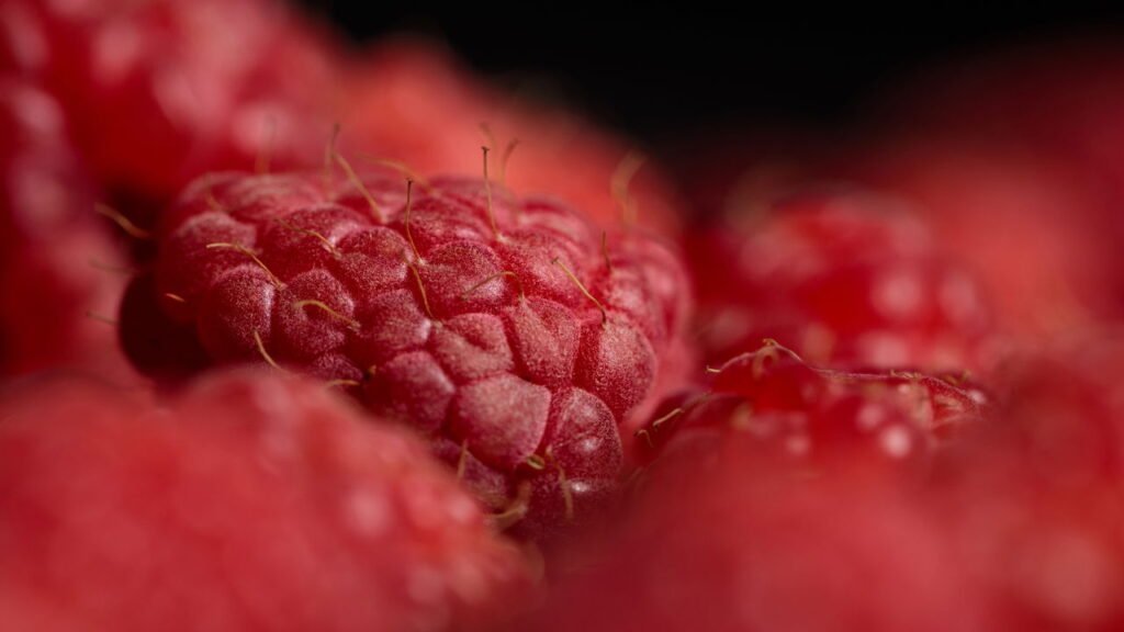 Aprenda a plantar framboesa em casa e ter a fruta sempre disponível
