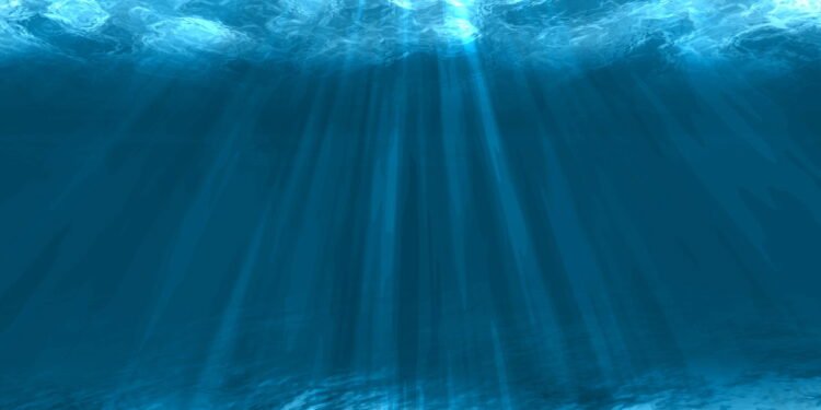 Descubra o jeito fascinante que os animais do fundo do mar se alimentam