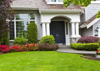 Quais são os 6 tipos de gramas mais bonitas e populares?