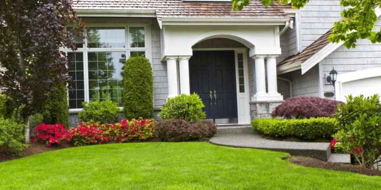 Quais são os 6 tipos de gramas mais bonitas e populares?