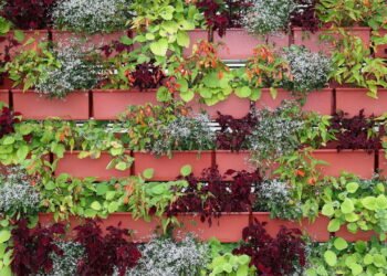 Horta vertical simples pra fazer em casa sem gastar muito