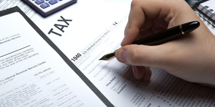 Receita Federal abre consulta para lote da malha fina, veja como acessar