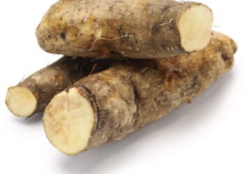 Aprenda como cultivar inhame do zero e colher frutos saudáveis em casa