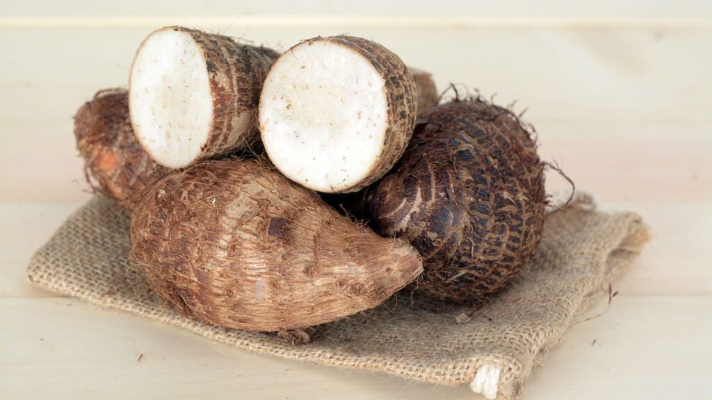 Fortaleça sua imunidade cultivando essa planta no quintal ou na horta