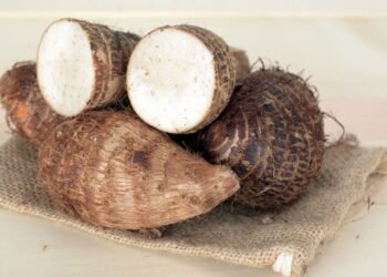 Fortaleça sua imunidade cultivando essa planta no quintal ou na horta