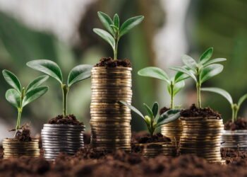 A escolha inteligente de quem quer começar a investir mesmo sem capital