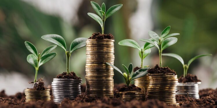 A escolha inteligente de quem quer começar a investir mesmo sem capital