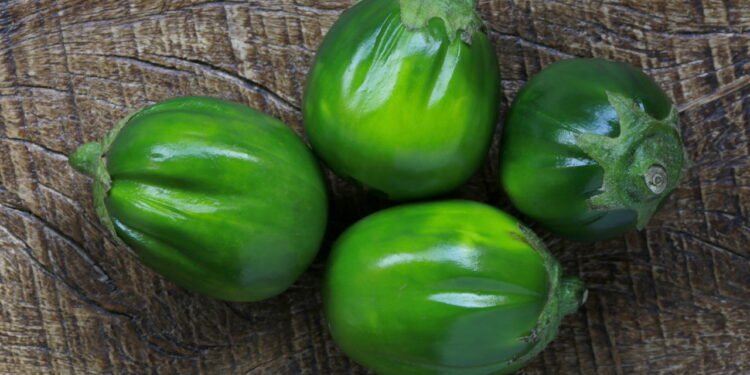 Quer plantar jiló? Veja como fazer do jeito certo em casa