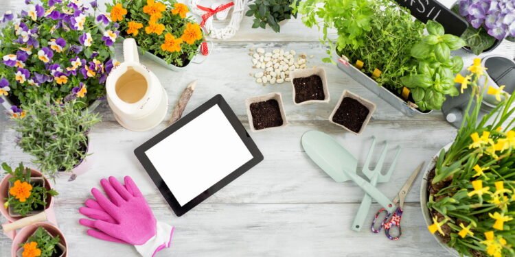 Monte um kit de jardinagem simples, para manter o seu bem-estar no dia a dia