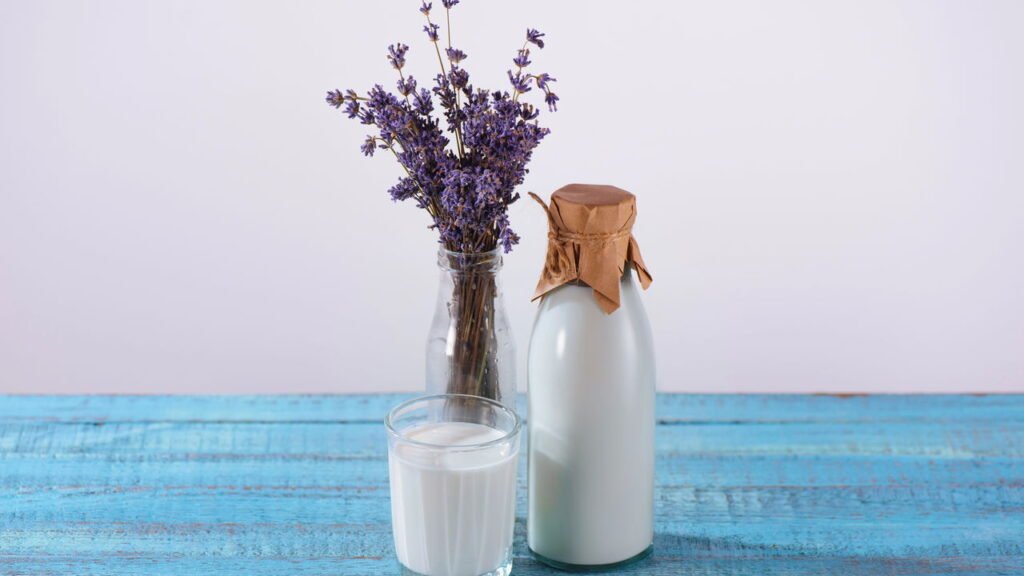 Quem é intolerante à lactose pode ter uma vasta opções de alimentos com essas dicas!