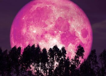 Saiba como assistir o fenômeno da Lua Rosa neste domingo