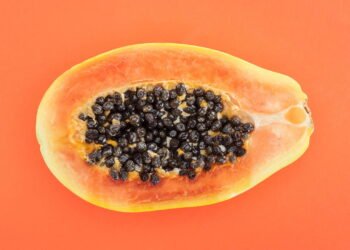 Guia completo de como plantar mamão com caroço e colher o ano todo