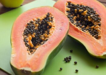 Veja como cuidar do mamoeiro e colher até 100 frutos por ano