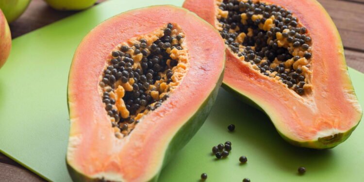 Como ter um pé de mamão em casa produzindo em alguns meses