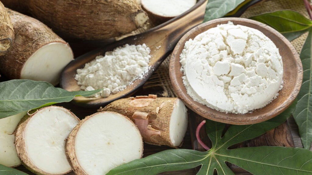 Considerado o alimento do século 21, saiba como plantar mandioca em casa