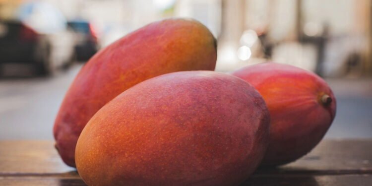 Essa fruta tropical é fácil de cultivar e rende o ano inteiro