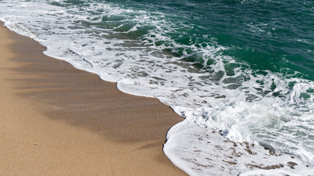 Lula gigante é encontrada por cientistas e surpreende