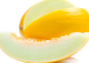 Aprenda a plantar melão em casa e tenha frutas hidratantes o ano todo