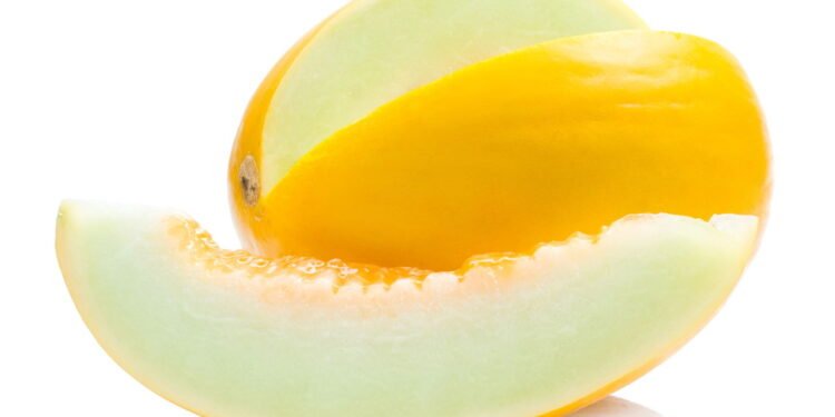 Aprenda a plantar melão em casa e tenha frutas hidratantes o ano todo